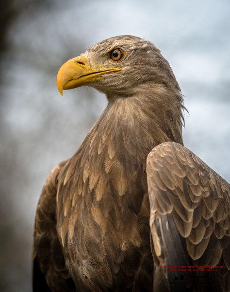 Die Session 2026 ist gestartet.